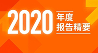 bat365官网登录入口新材2020年度报告精要