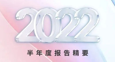 一张图看懂bat365官网登录入口新材2022半年度报告