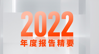 一张图看懂bat365官网登录入口新材2022年度报告