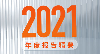 一图看懂bat365官网登录入口新材2021年度报告精要